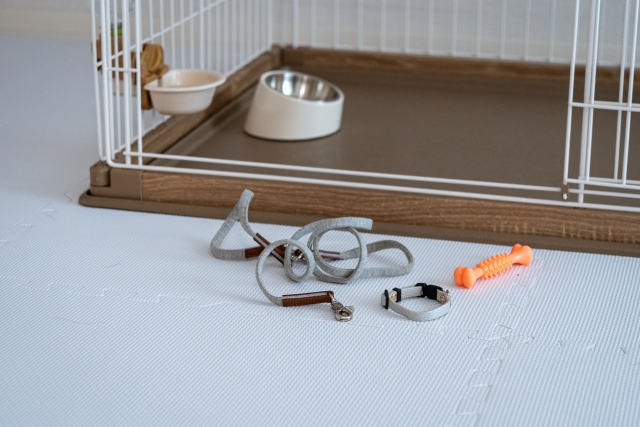 30095107_s ペットロスがつらい人へ｜供養が心のケアになる理由