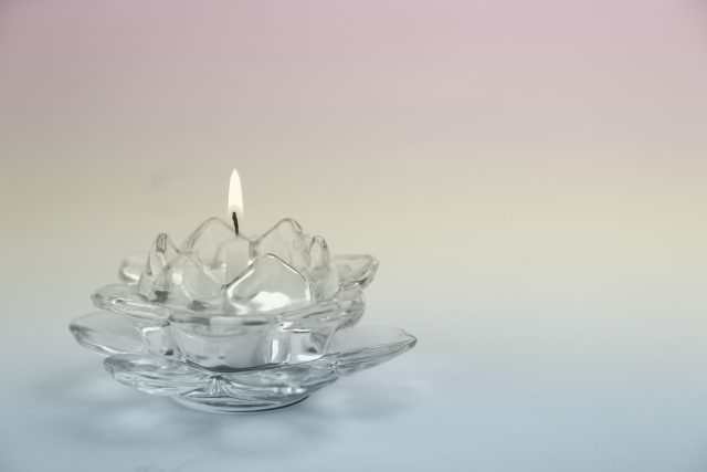 359363_s ペットとのつながりを感じる時間。初めてのオンライン(リモート)供養ガイド