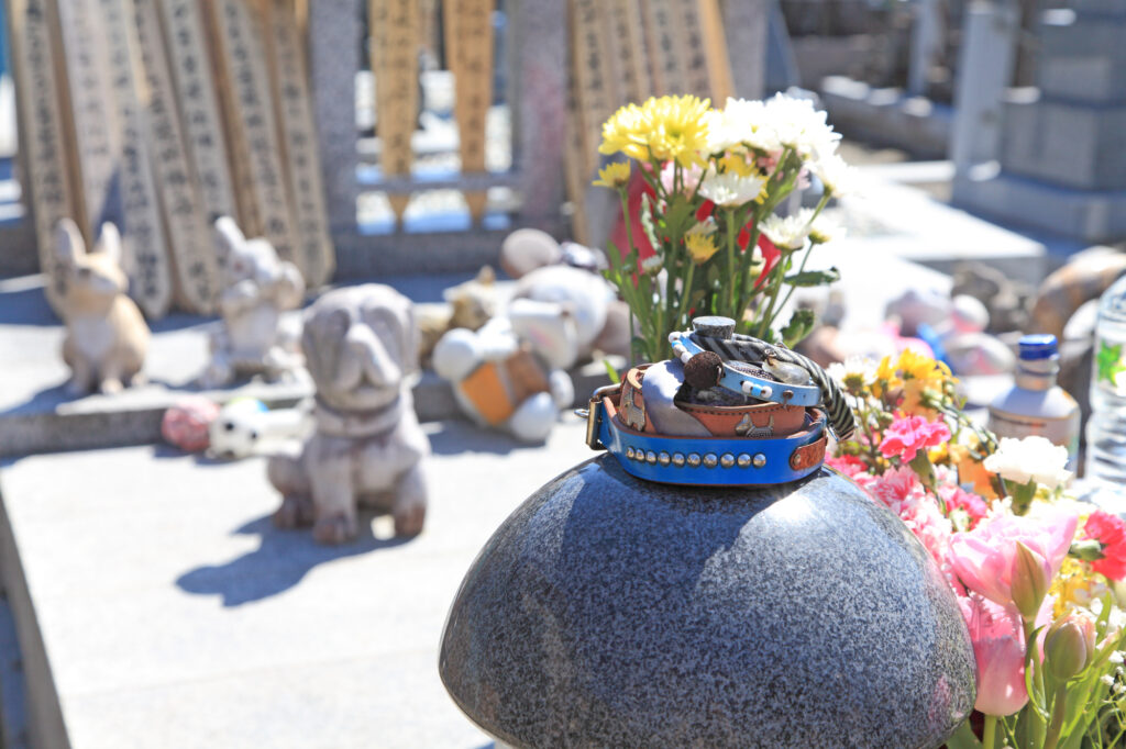 pixta_4295245_M-1024x682 「ありがとう」を形にする供養｜ペットが安らげる納骨という選択
