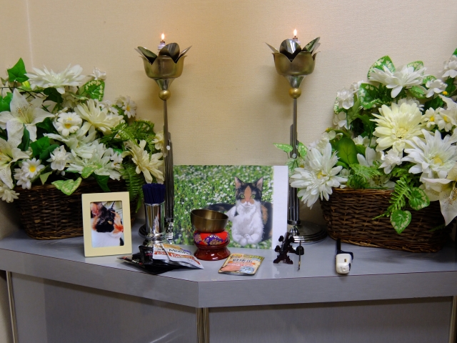 375485_s 「ここまでしてよかった」と思える。上質なセレモニーの選び方