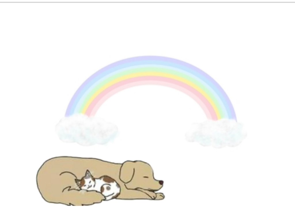 IMG_8048 いつかは納骨したいあなたへ―ペットに安らぎを与える供養の形