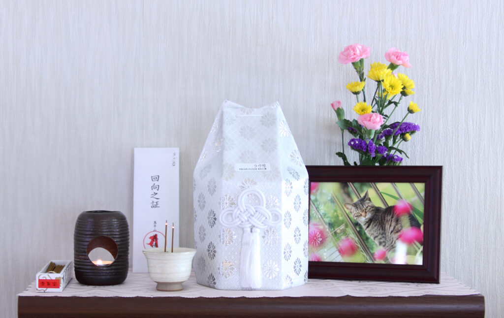 pixta_4058506_M-1024x646 大切な家族をそっと包む上質なペット火葬｜安心して任せられるサービスとは