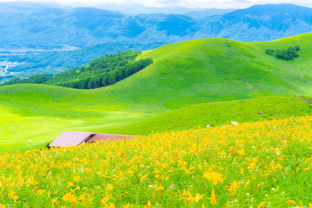 pixta_92010746_M-1024x682 丁寧に寄り添うペット葬儀｜“してあげたい”を叶えるお見送りのかたち