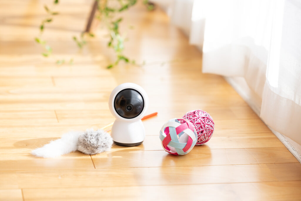 pixta_110605358_M-1024x683 犬・猫のペット火葬で一緒に火葬できるもの。入れてはいけないものも解説