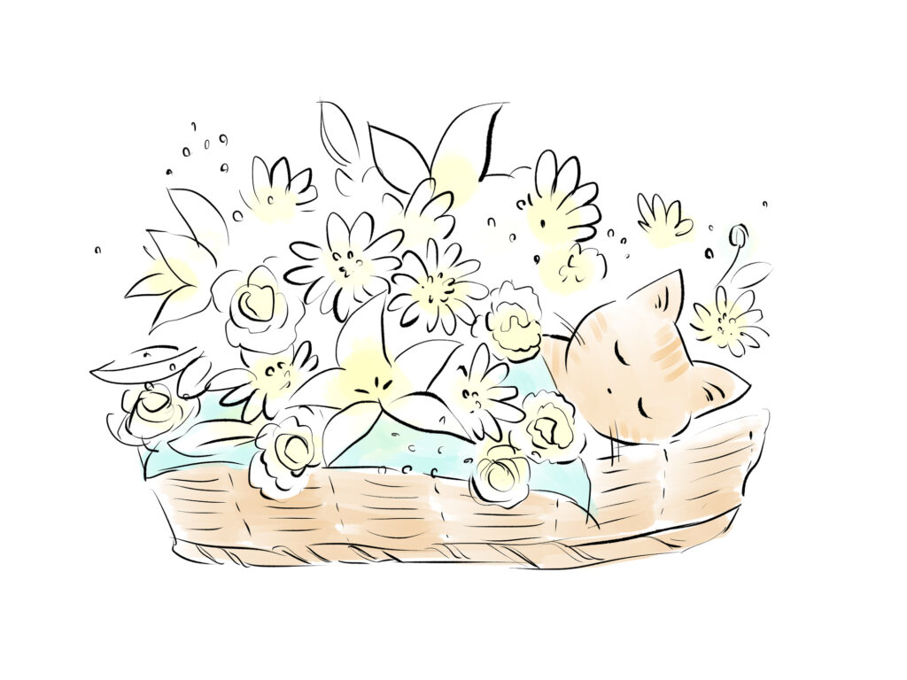 pixta_111221236_M-1024x768 犬・猫のペット火葬で一緒に火葬できるもの。入れてはいけないものも解説