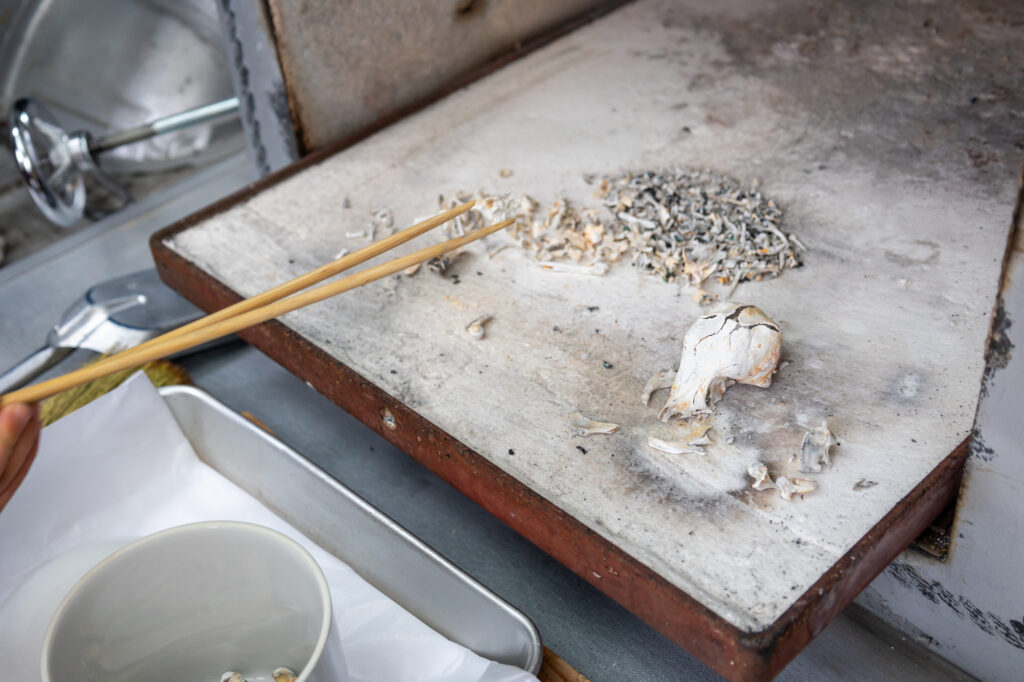 pixta_123606503_M-1024x682 ペットの骨壷を新しくしたいとき、遺骨を移し替えても問題ない？知っておきたい基本知識