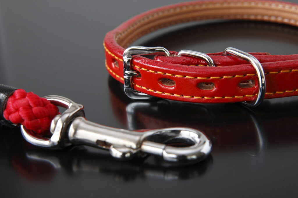 pixta_1409727_M-1024x682 ペットちゃんの思い出が詰まった持ち物をどうする？旅立ちのあとに考えたいこと