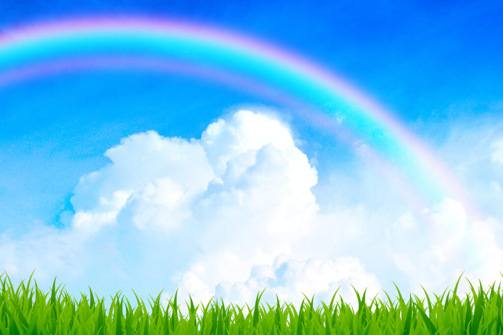 pixta_77692058_M-1024x682 ペットちゃんの思い出が詰まった持ち物をどうする？旅立ちのあとに考えたいこと