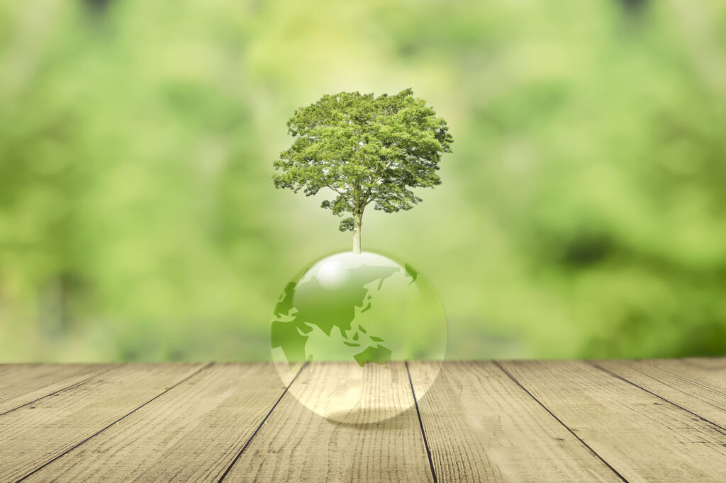 pixta_99783124_M-1024x682 ペットちゃんの思い出が詰まった持ち物をどうする？旅立ちのあとに考えたいこと