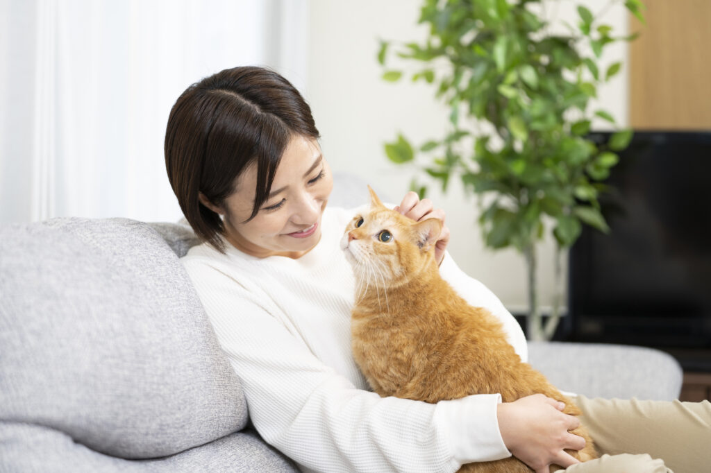 02-2-1024x682 エンゼルケアとは―安置から火葬までのやさしい見送り方