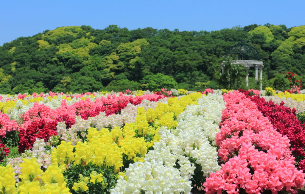 04-1024x654 ペットが亡くなった際のお花への対応方法|お返し・お礼状・気持ちの伝え方