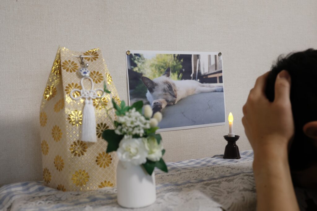 pixta_87929856_M-1024x682 大切なペットのための仏具ガイド｜どんなものがあってどこで買う？