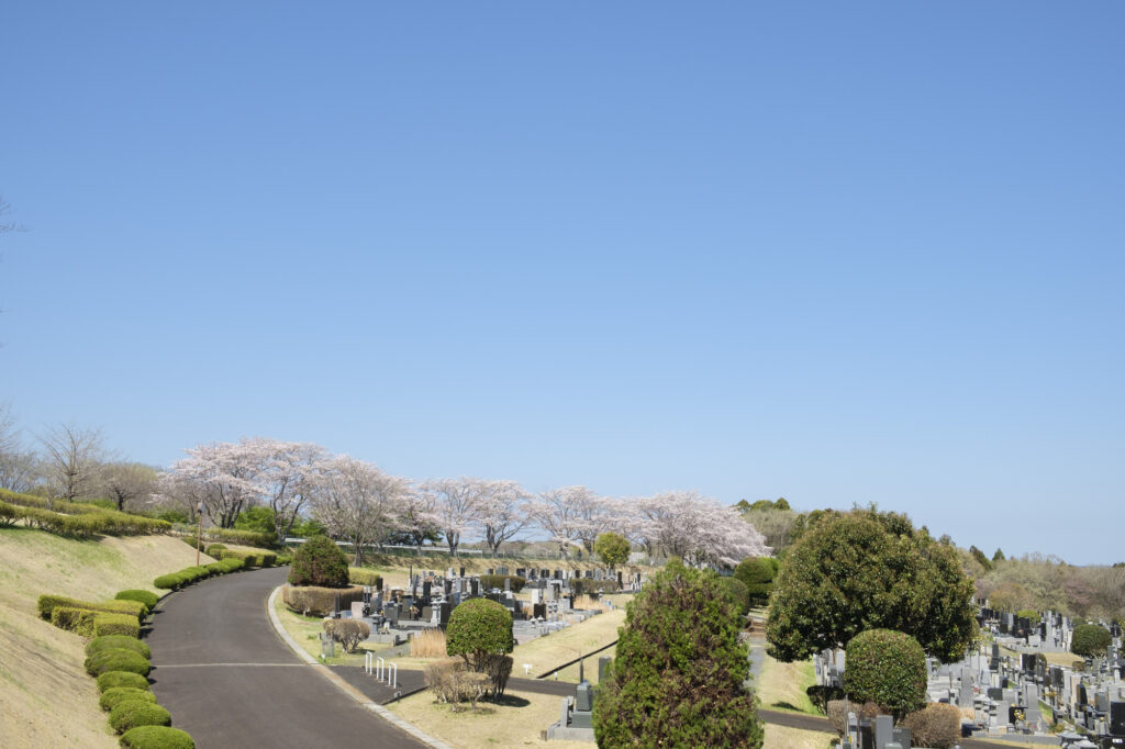 pixta_115750583_M-1024x682 四十九日・百箇日を迎えるあなたへ｜供養は「しなければならない」ものではありません