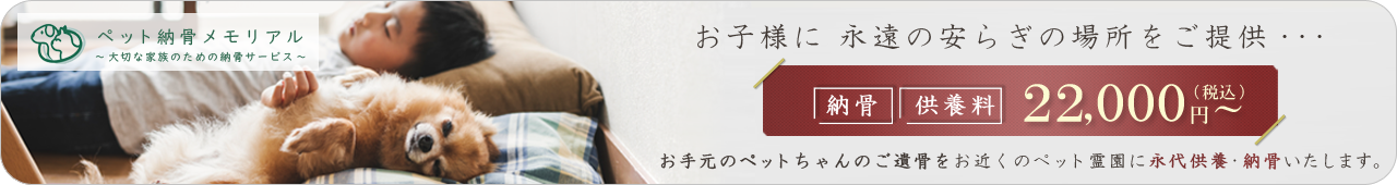 bnr_noukotsu 四十九日と百箇日、何をすればいい?後悔しないための供養の考え方