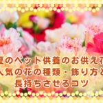夏のペット供養のお供え花｜人気の花の種類・飾り方と長持ちさせるコツ