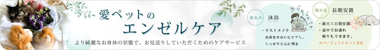 bnr_enzelcare エアコンだけで大丈夫?夏場のペットのご遺体を守る安置のポイント