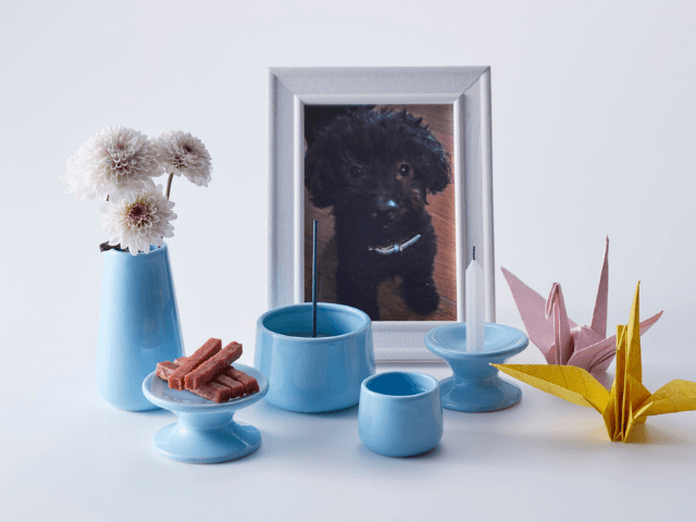 Summer‐Memorial‐Flowers‐for‐Pets1-1 夏の花で彩るペット供養｜おすすめのお供え花