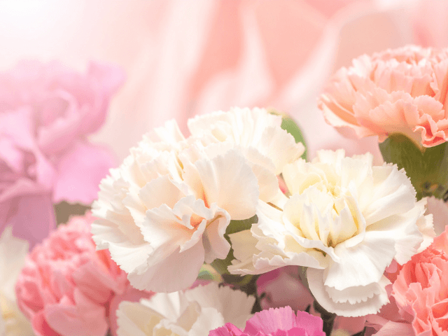 Summer‐Memorial‐Flowers‐for‐Pets10-1 夏の花で彩るペット供養｜おすすめのお供え花