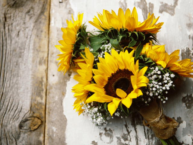 Summer‐Memorial‐Flowers‐for‐Pets6-1 夏の花で彩るペット供養｜おすすめのお供え花