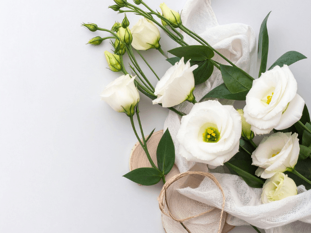 Summer‐Memorial‐Flowers‐for‐Pets7-1 夏の花で彩るペット供養｜おすすめのお供え花
