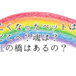 亡くなったペットはどこへ？魂は？虹の橋はあるの？