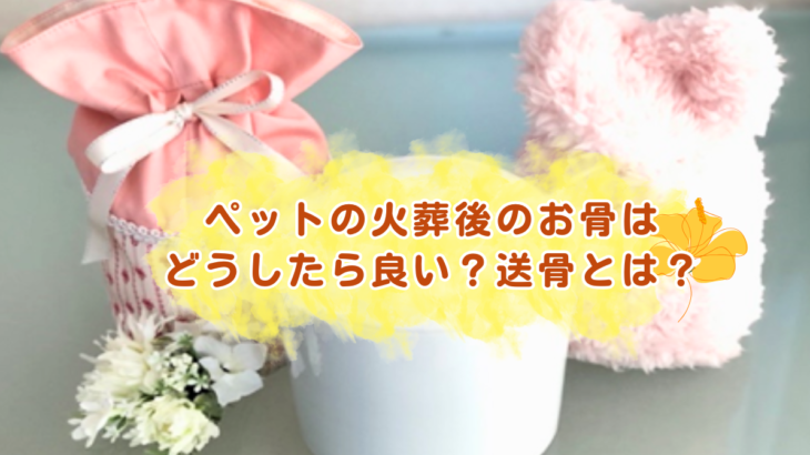 ペットの火葬後のお骨はどうしたら良い？送骨とは？