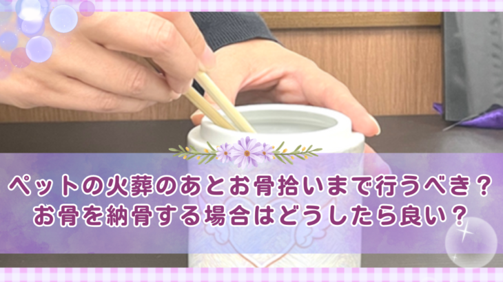 ペットの火葬のあと、お骨拾いまで行うべき？お骨を納骨する場合はどうしたら良い？