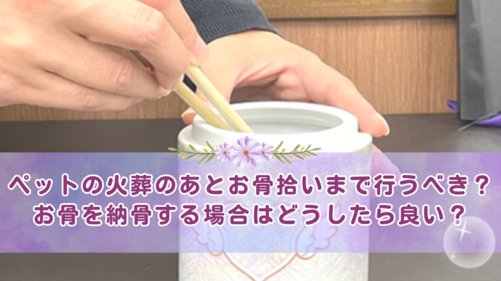 ペットの火葬のあと、お骨拾いまで行うべき？お骨を納骨する場合はどうしたら良い？