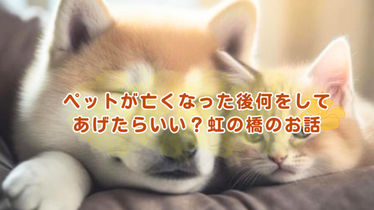 ペットが亡くなった後何をしてあげたらいい？虹の橋のお話