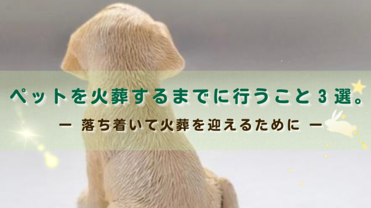 ペットを火葬するまでに行うこと３選。落ち着いて火葬を迎えるために