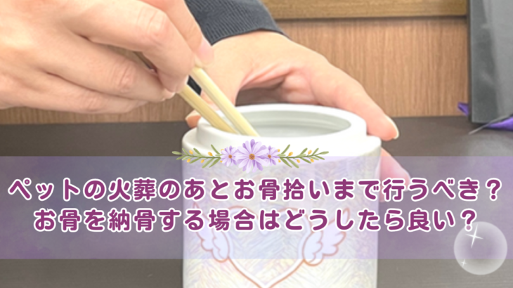 ペットの火葬のあと、お骨拾いまで行うべき？お骨を納骨する場合はどうしたら良い？