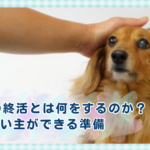 ペットの終活とは何をするのか、飼い主ができる準備 。今からできる備え。