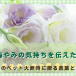 「お悔やみの気持ちを伝えたい」友人のペット火葬時に贈る言葉と配慮