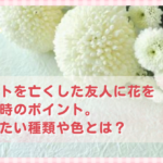 ペットを亡くした友人に花を贈る時のポイント。避けたい種類や色とは？