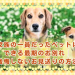 家族の一員だったペットにできる最期のお別れ│後悔しないお見送りの方法