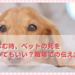 仕事を休む時、ペットの死を理由にしてもいい？職場での伝え方