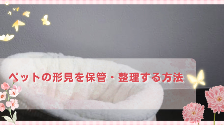 ペットの形見を保管・整理する方法