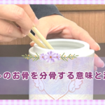 ペットのお骨を分骨する意味と注意点