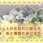 ペットのお別れに贈る花｜場面別・色と種類の選び方ポイント