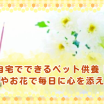 自宅でできるペット供養｜お線香やお花で毎日に心を添える方法