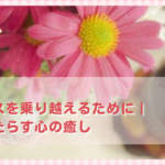 ペットロスを乗り越えるために｜供養がもたらす心の癒し