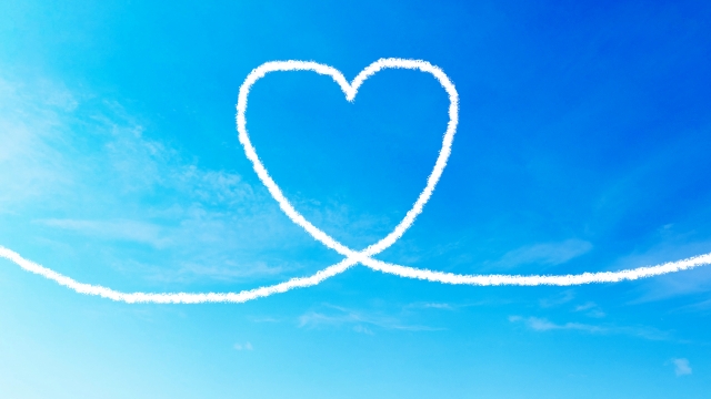 24918689_s 会いに行けない後悔を減らすために。オンラインでできるペット供養