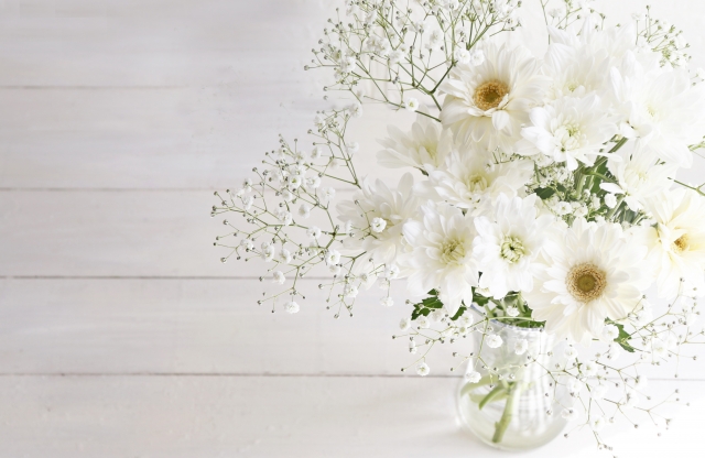 26370478_s 会いに行けない後悔を減らすために。オンラインでできるペット供養