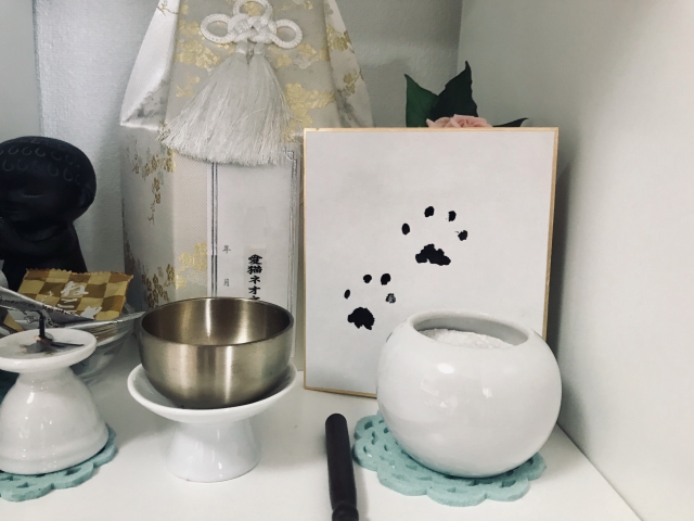 3328000_s 会いに行けない後悔を減らすために。オンラインでできるペット供養