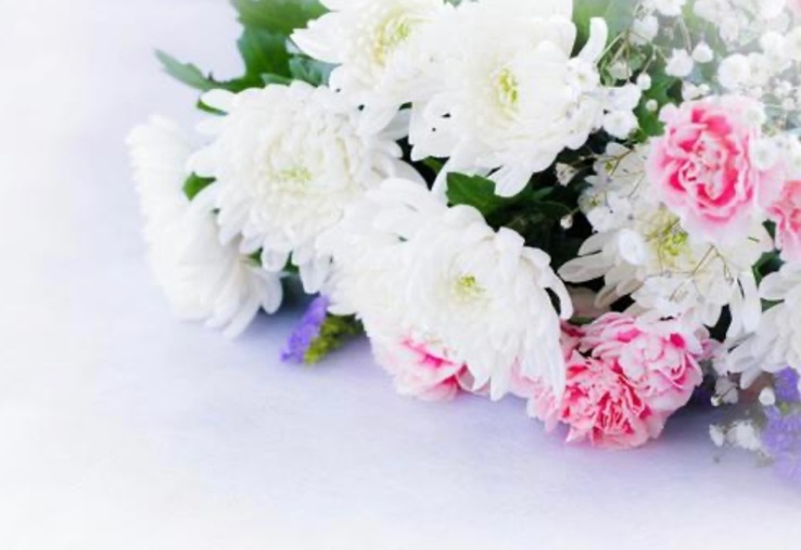 IMG_7561 お供えしていいもの・いけないもの|ペット供養のお花・おやつ・おもちゃのマナー