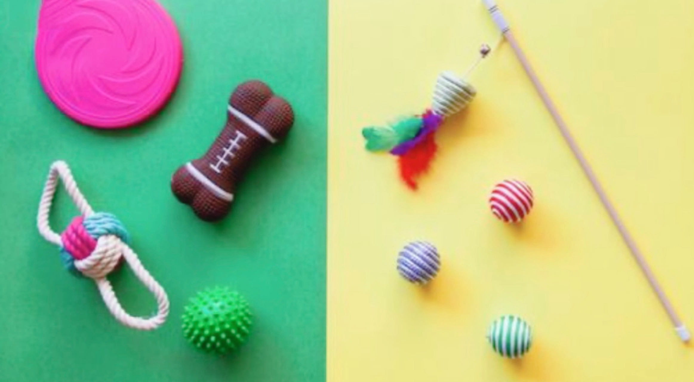 IMG_7564 お供えしていいもの・いけないもの|ペット供養のお花・おやつ・おもちゃのマナー