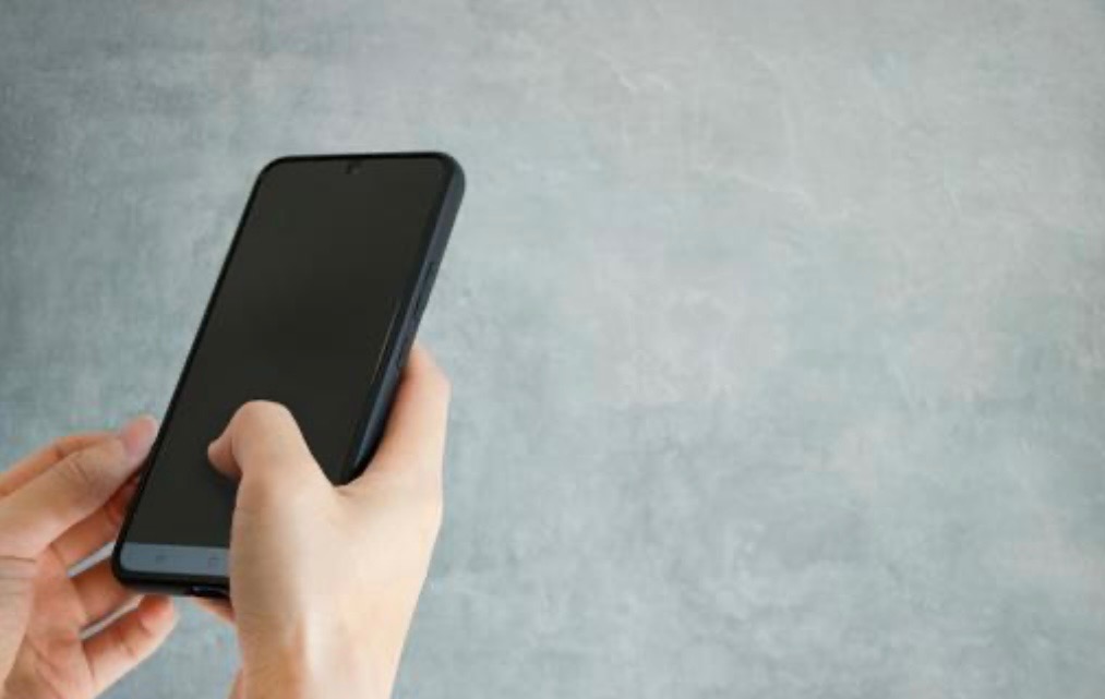 IMG_7581 「もしもの時に慌てないために。ペット火葬の準備と選び方ガイド」