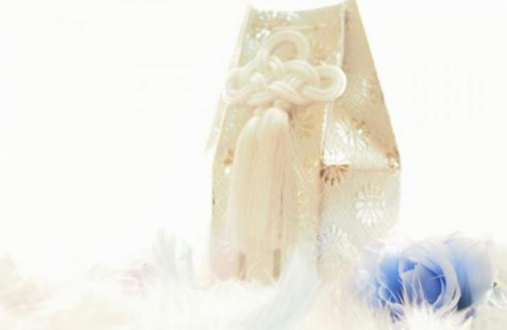 IMG_7582 「もしもの時に慌てないために。ペット火葬の準備と選び方ガイド」