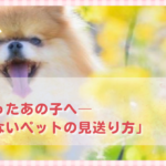「家族だったあの子へ──後悔しないペットの見送り方」