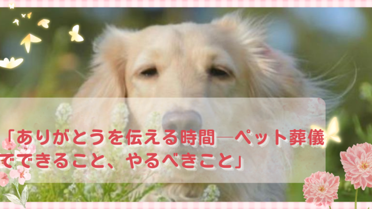 「”ありがとう”を伝える時間──ペット葬儀でできること、やるべきこと」